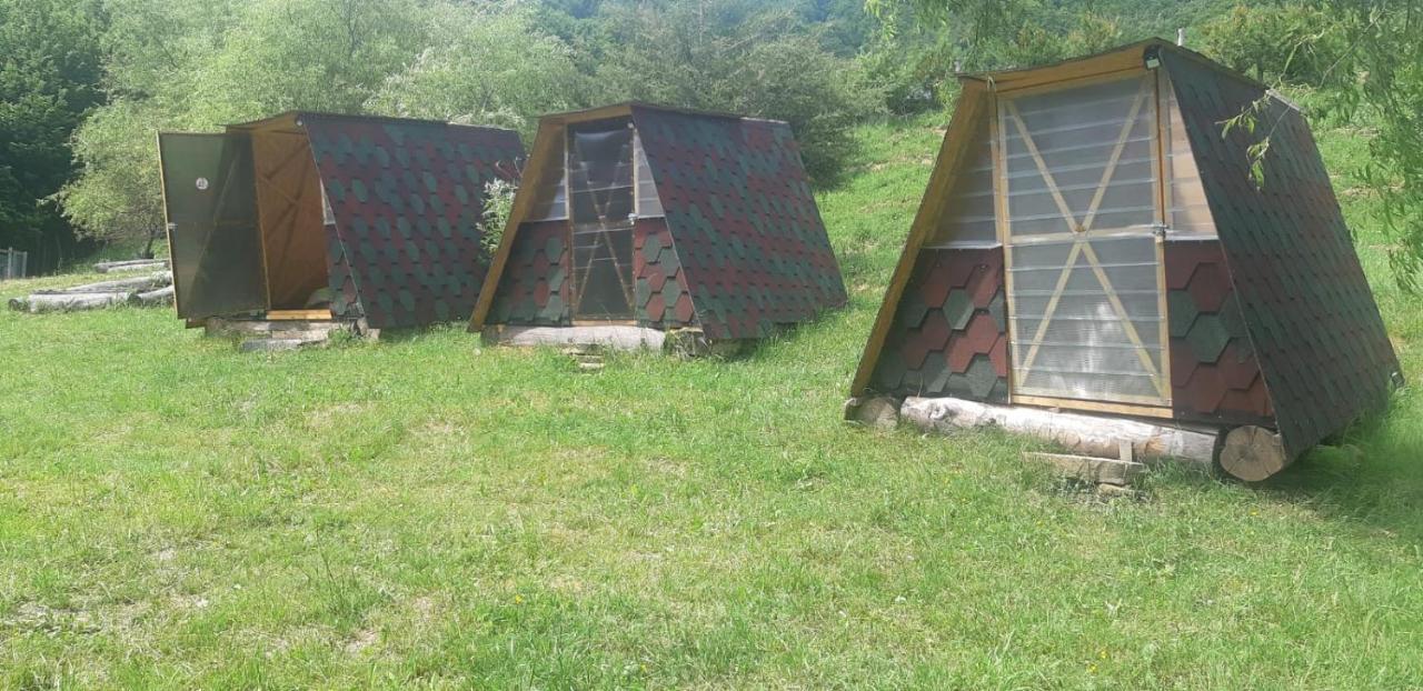 Pensiunea Izvorul Bucuriei Siriu Kültér fotó