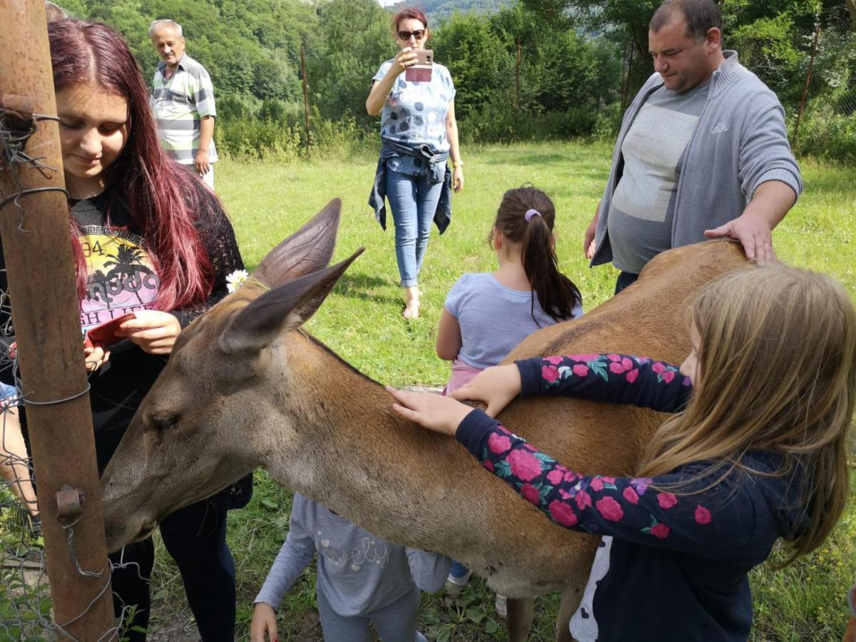 Pensiunea Izvorul Bucuriei Siriu Kültér fotó